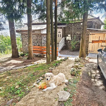Mountain - Holiday home *