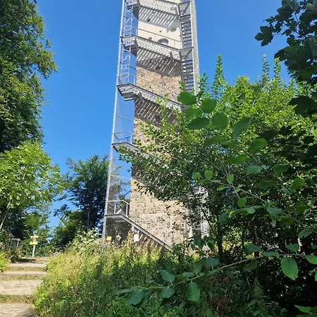 Feriehus Mountain - *