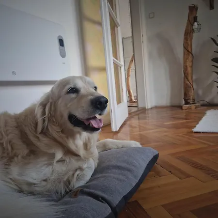 Feriehus Mountain - *