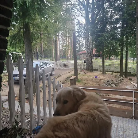 Mountain - Feriehus Galyatető