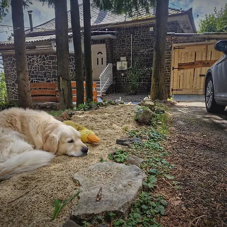 Feriehus Mountain - Galyatető
