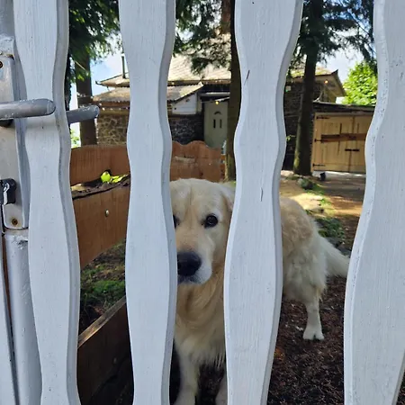 Mountain - * Galyatető