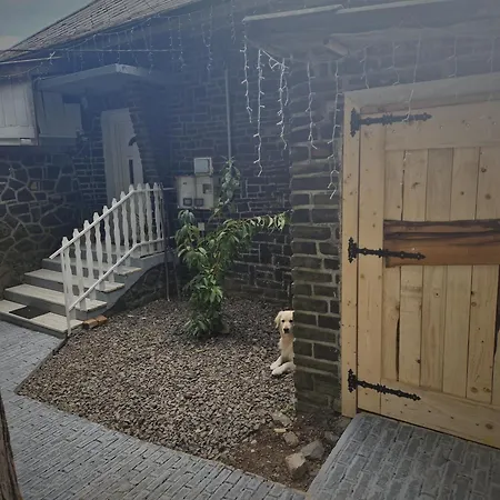 Mountain - Feriehus *