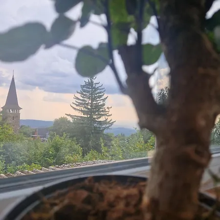 Mountain - Feriehus *