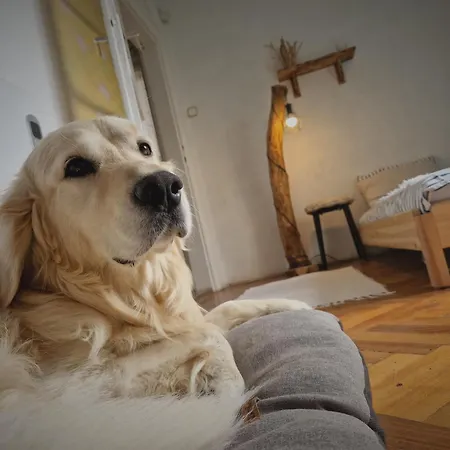 Feriehus Mountain - *